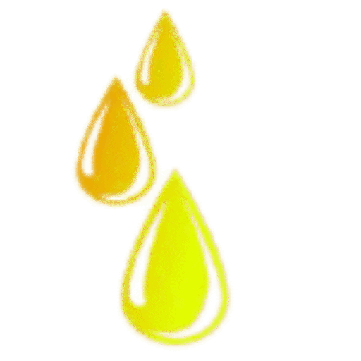 cropped-cropped-Logo.png